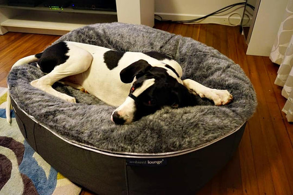Pet Lounge Dog Bed in Supernova - Faux Fur - Medium (Easy-Clean, Pet-Friendly, In/Outdoor)