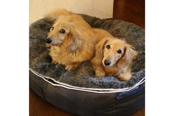 Pet Lounge Dog Bed in Supernova - Faux Fur - Medium (Easy-Clean, Pet-Friendly, In/Outdoor)