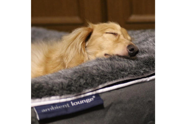 Pet Lounge Dog Bed in Supernova - Faux Fur - Medium (Easy-Clean, Pet-Friendly, In/Outdoor)