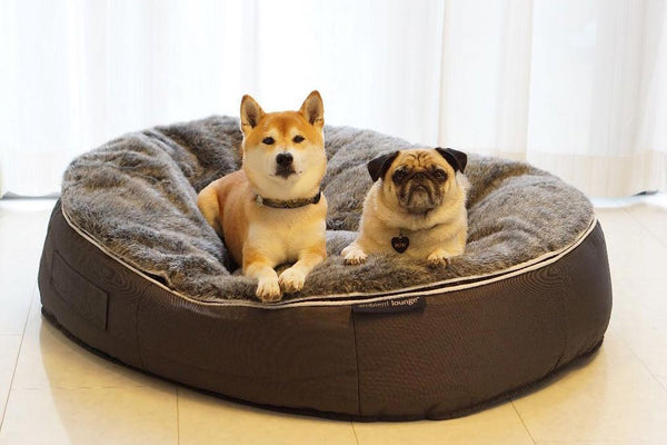 Pet Lounge Dog Bed in Supernova - Faux Fur - Medium (Easy-Clean, Pet-Friendly, In/Outdoor)