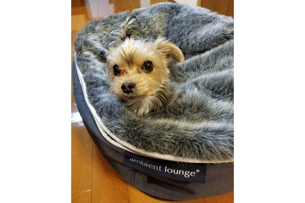 Pet Lounge Dog Bed in Supernova - Faux Fur - Small (Easy-Clean, Pet-Friendly, In/Outdoor)