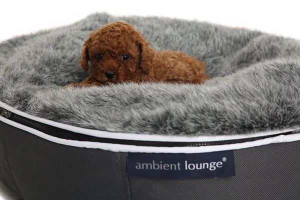 Pet Lounge Dog Bed in Supernova - Faux Fur - Small (Easy-Clean, Pet-Friendly, In/Outdoor)