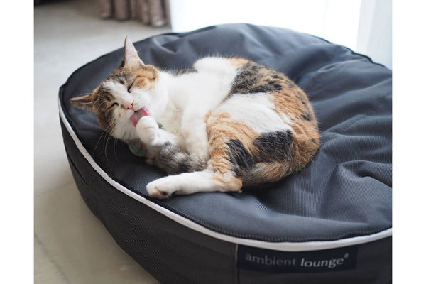 Pet Lounge Dog Bed in Supernova - Faux Fur - Small (Easy-Clean, Pet-Friendly, In/Outdoor)