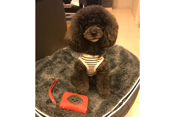 Pet Lounge Dog Bed in Supernova - Faux Fur - Small (Easy-Clean, Pet-Friendly, In/Outdoor)