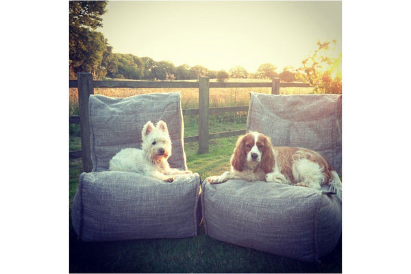 Twin Couch Bean Bag in Eco Weave (Indoor)